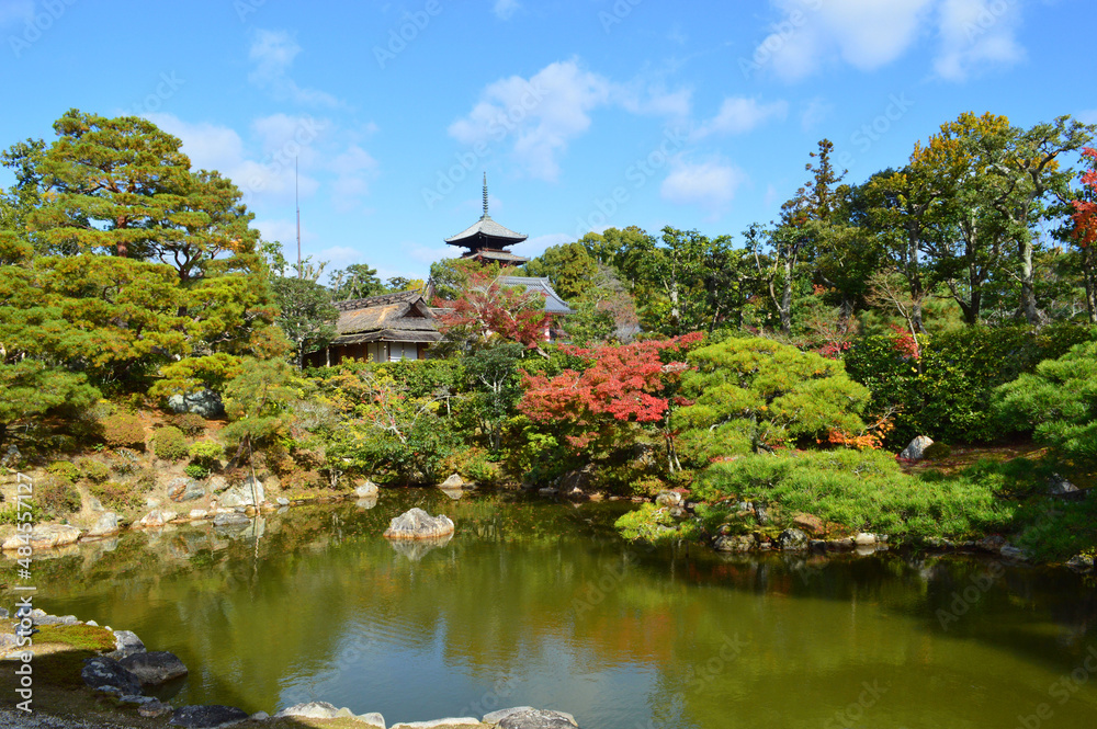 秋の京都市仁和寺の宸殿北庭から五重塔を望む02