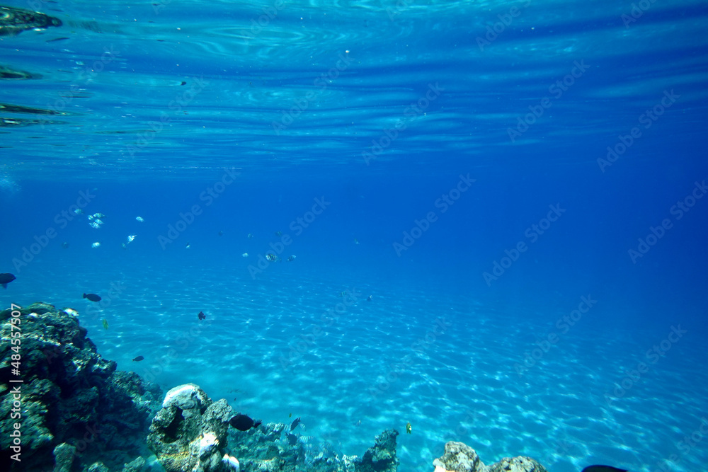 Fototapeta premium Underwater background
