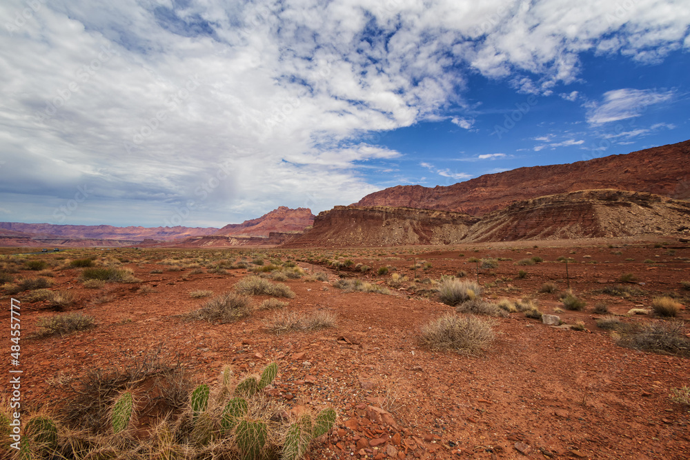 A Postcard of the Arizona Desert