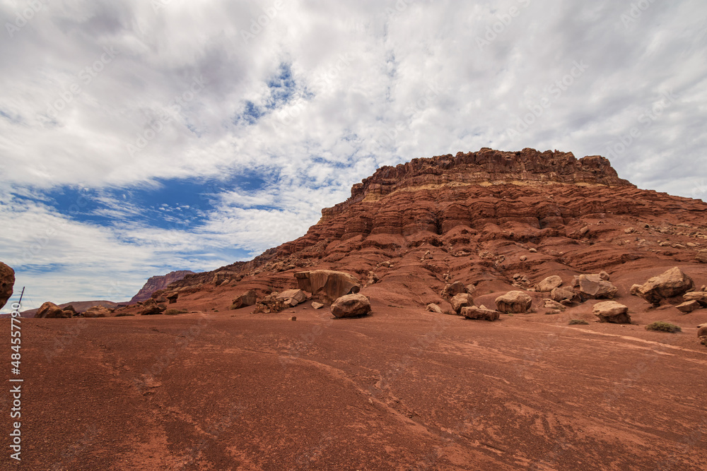 Naklejka premium A Postcard of the Arizona Desert