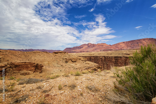 A Postcard of the Arizona Desert