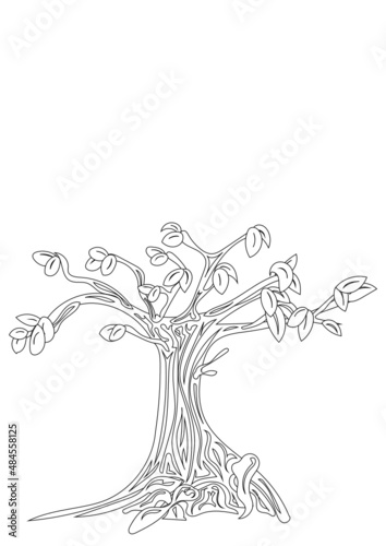 Baum