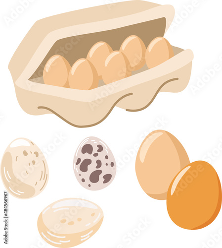 Chicken eggs. Fresh brown eggs in a paper box. Healthy Protein food. Poultry farming. For printing, brochures, shops, restaurants and farming. Vector cartoon illustration. photo