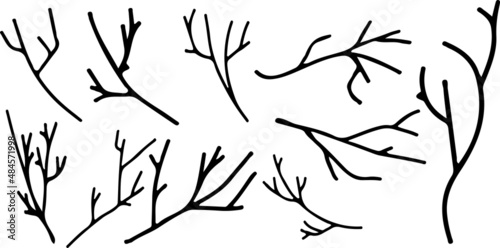 Set with different branches of a tree tree in black and white