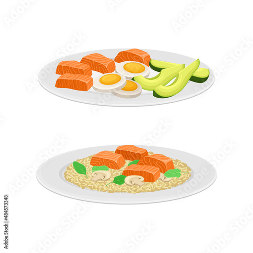 Tasty seafood dishes set. Salmon fish served on plates with egg, vegetables and rice vector illustration