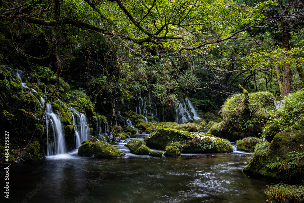 Obraz premium 苔が生えた緑の岩と滝の流れ
