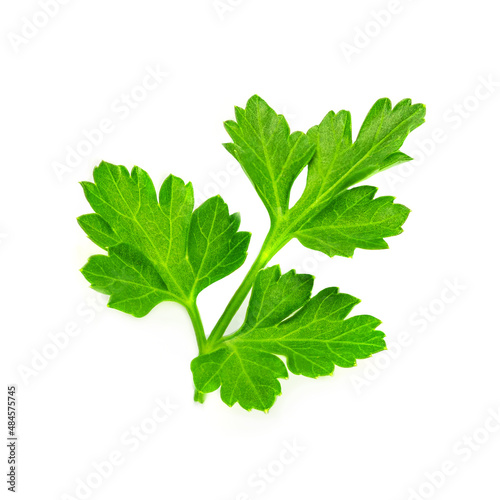 Parsley. Parsley herb isolated on white background. Top view. Flat lay.