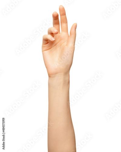 Elegant female palm or wrist isolated on white. Beautiful woman palm with bent fingers