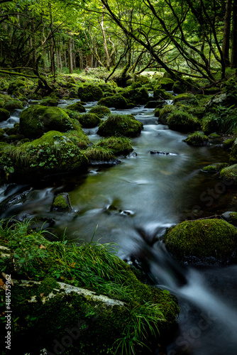 苔が生えた緑の岩と川の流れ