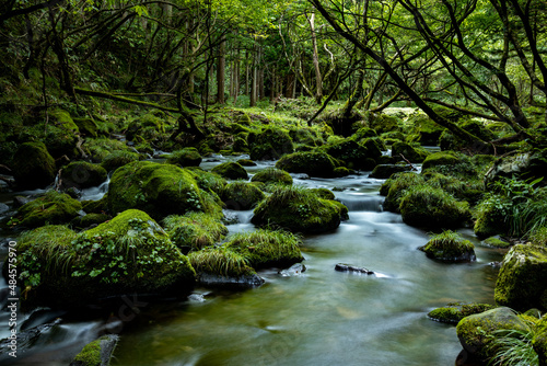 苔が生えた緑の岩と川の流れ