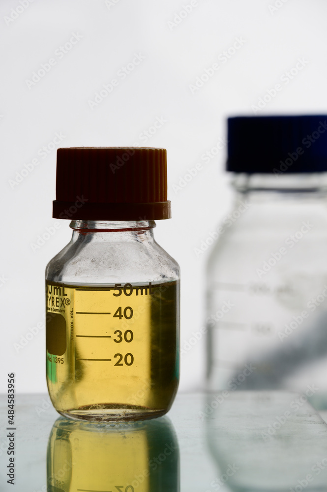 laboratory glassware in laboratory laboratory glassware in laboratory