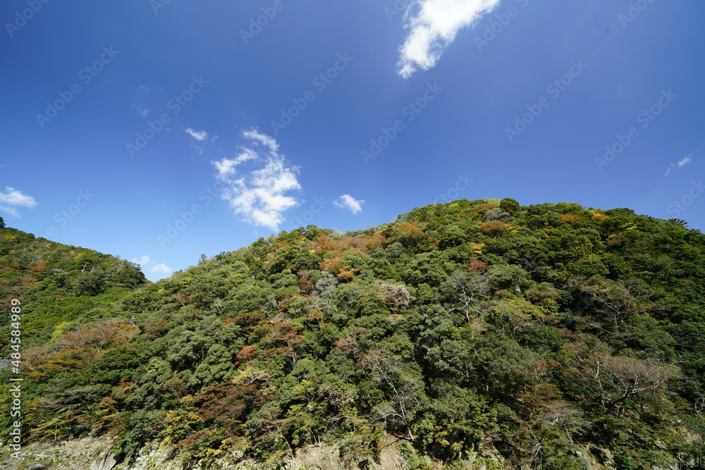 川上村 秋色に染まる山 川上村 秋色に染まる山