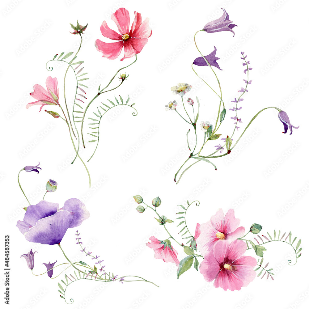 watercolor meadow flowers collection.