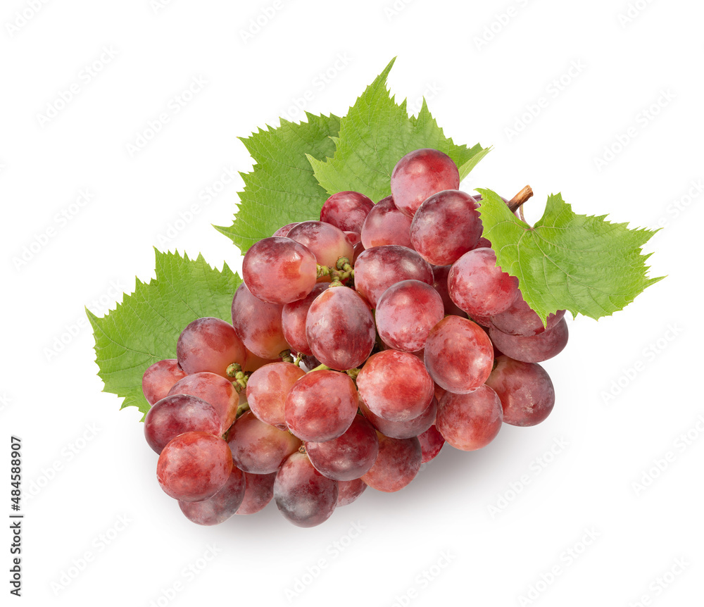 Fototapeta premium red fresh grapes with leaves isolated on white. entire image in sharpness.