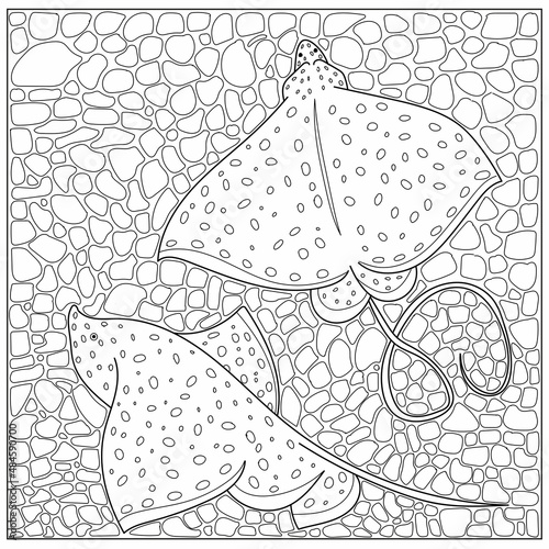 Stingray underwater coloring page. Hand drawn vector illustration.