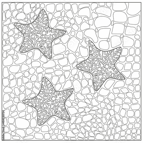 Starfish underwater coloring page for adults. Vector hand drawn illustration.