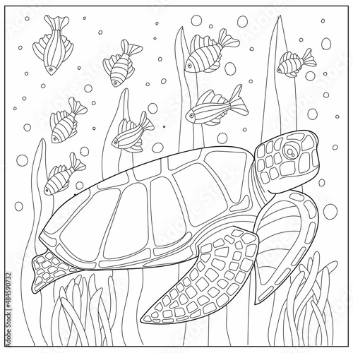 Cartoon turtle swimming. Hand drawn illustration for adult antistress coloring page.