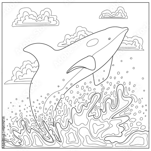 Whale, killer whale marin coloring page