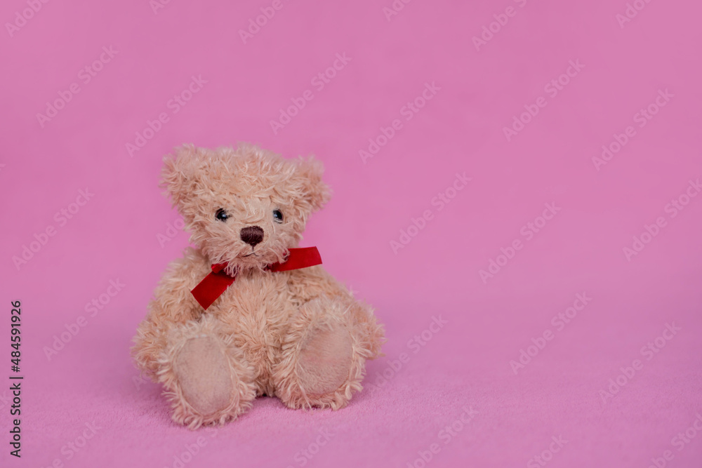 Cute teddy bear with  on pink background, space for text. Valentine's day celebration