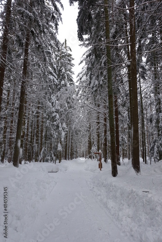 Bayerischer Wald © Anie