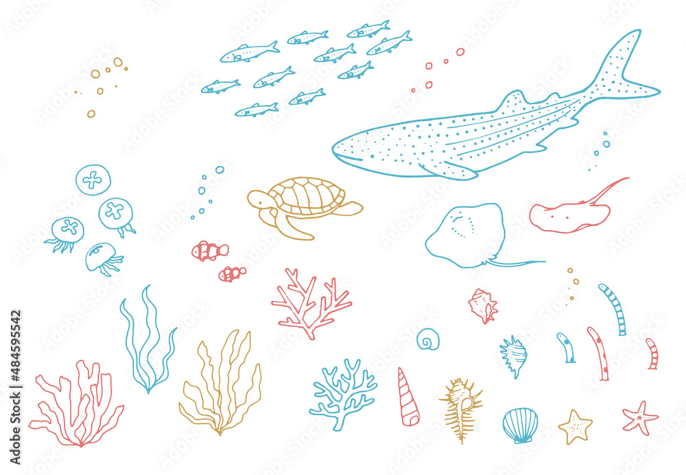 手描きのかわいい海洋生物 水族館 海の生き物装飾イラストセット Stock Vector Adobe Stock