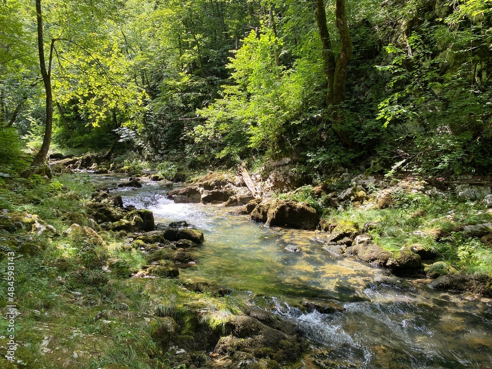 Protected landscape canyon of the river Kamacnik in Gorski kotar - Vrbovsko, Croatia (Zaštićeni krajolik kanjon rječice Kamačnik u Gorskom kotaru - Vrbovsko, Hrvatska) Protected landscape canyon of the river Kamacnik in Gorski kotar - Vrbovsko, Croatia (Zaštićeni krajolik kanjon rječice Kamačnik u Gorskom kotaru - Vrbovsko, Hrvatska)