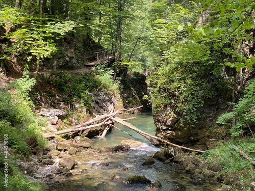 Protected landscape canyon of the river Kamacnik in Gorski kotar - Vrbovsko, Croatia (Zaštićeni krajolik kanjon rječice Kamačnik u Gorskom kotaru - Vrbovsko, Hrvatska) photo