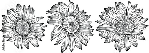 Abstract flowers isolated on white. Hand drawn line vector illustration. Eps 10