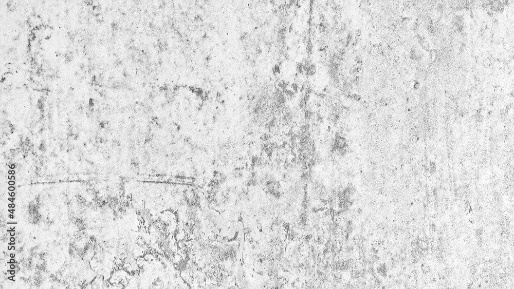 Fototapeta premium white wall cement texture