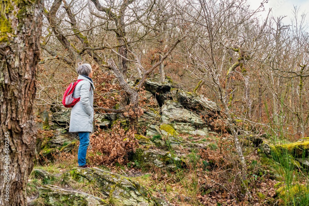 Naklejka premium Suche nach der schalen Wintersonne auf dem Kammpfad zwischen Lahn- und Gelbachtal im Westerwald