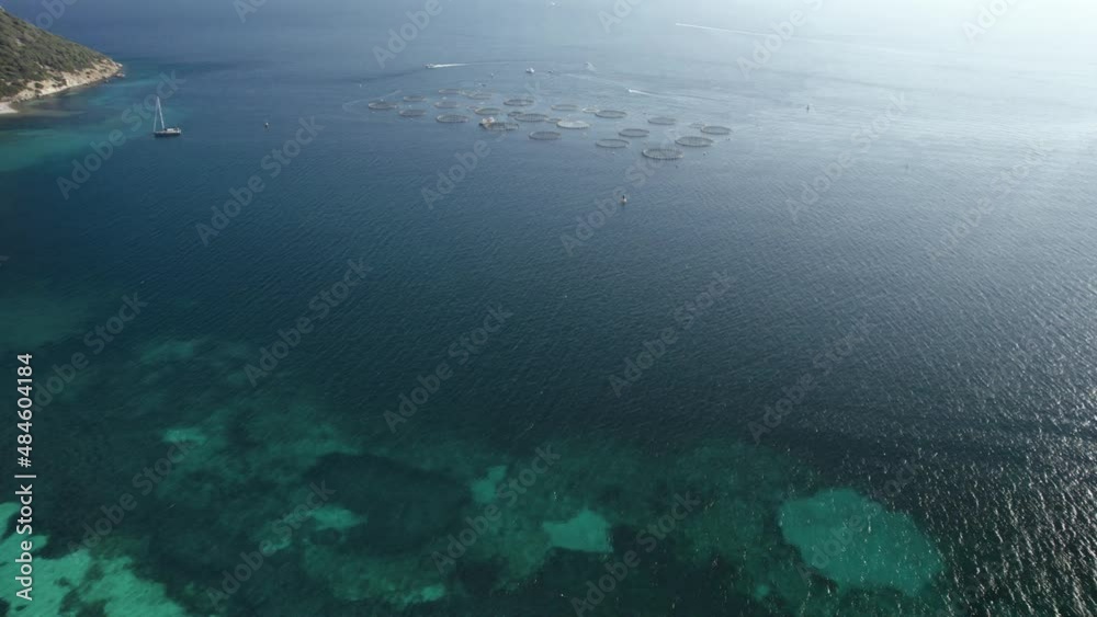 Aerial establishing shot of huge sea bass and sea bream growing farm with net cages for seafood in the Mediterranean Aerial establishing shot of huge sea bass and sea bream growing farm with net cages for seafood in the Mediterranean