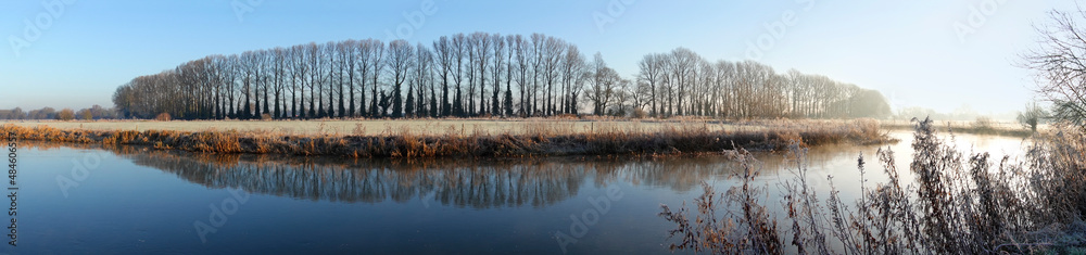Line of bare winter trees along the River Thames on frosty winter morning, Lechlade, Cotswolds, Gloucestershire, England, United Kingdom, Europe Line of bare winter trees along the River Thames on frosty winter morning, Lechlade, Cotswolds, Gloucestershire, England, United Kingdom, Europe
