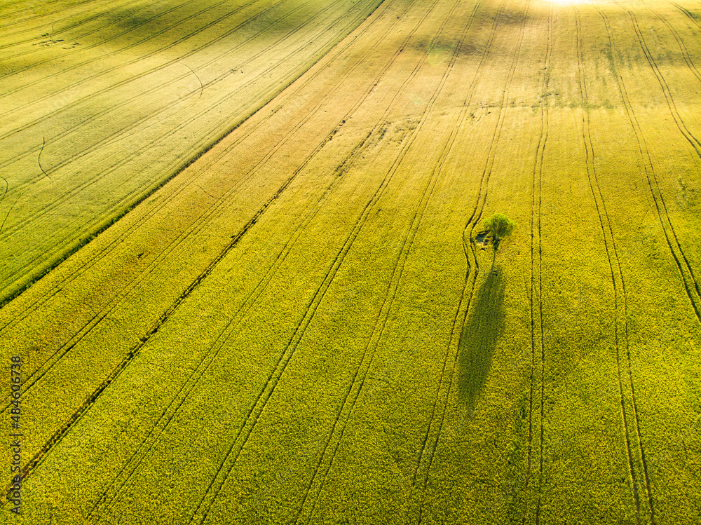 Stunning aerial morning view of fields and farmlands with small villages on the horizon. Rural landscape of rolling hills, curved roads and cypresses of Tuscany, Italy. Stunning aerial morning view of fields and farmlands with small villages on the horizon. Rural landscape of rolling hills, curved roads and cypresses of Tuscany, Italy.
