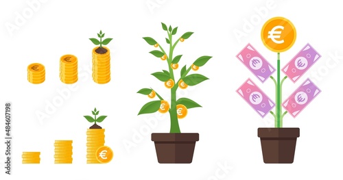 Euro Money Tree Growing Illustration