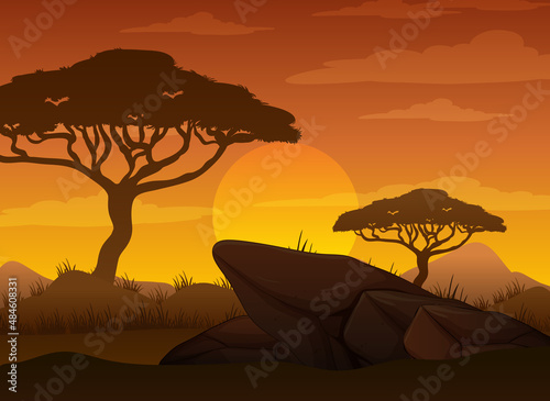 Silhouette savanna forest at sunset time