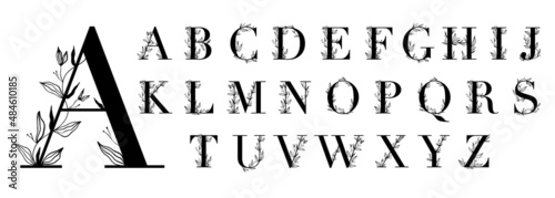 Floral botanical alphabet. Vintage hand drawn monogram letters. Capital Letters with plants and flowers. Vector lettering isolated on white
