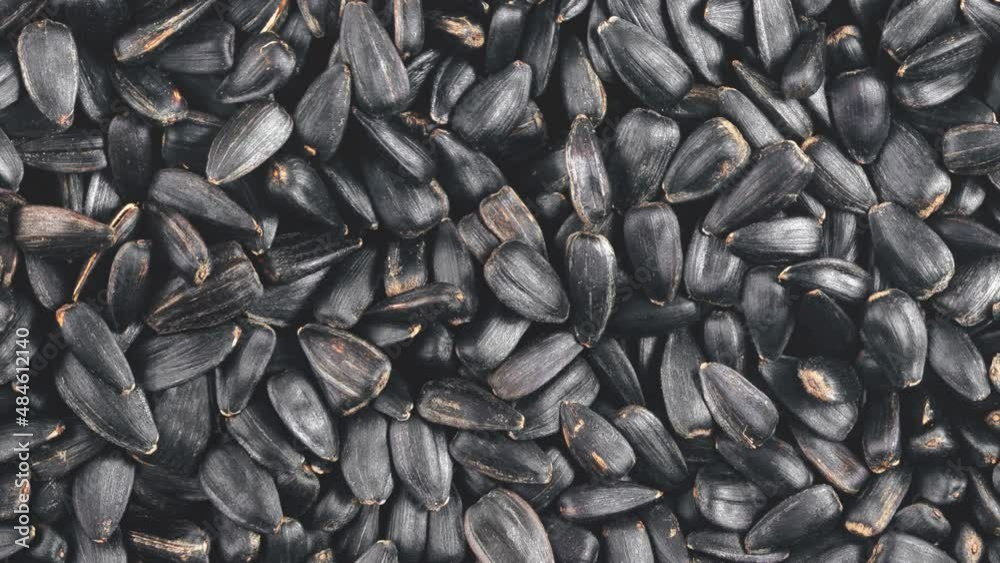 Movement of pile of black sunflower seeds. View from above. Movement of pile of black sunflower seeds. View from above.