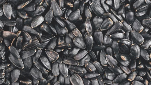 Movement of pile of black sunflower seeds. View from above. photo