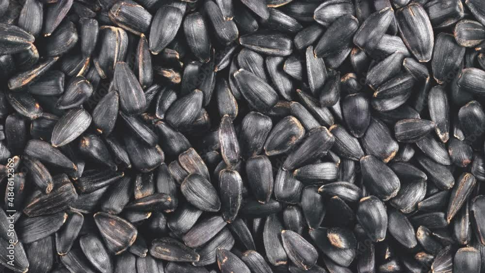 Movement of pile of black sunflower seeds. View from above. Movement of pile of black sunflower seeds. View from above.