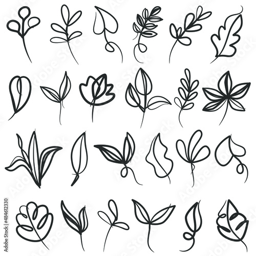 Set of botanical line art floral leaves, plants