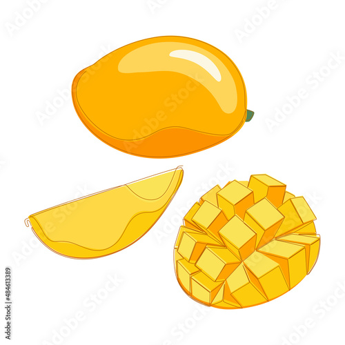 Set of sweet mango fruit. Vector flat illustration