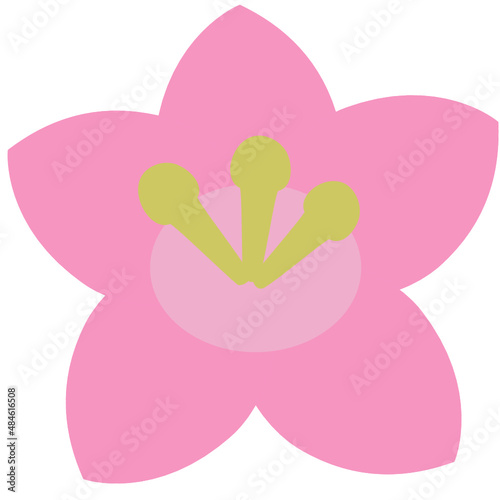桃の花　ベクター