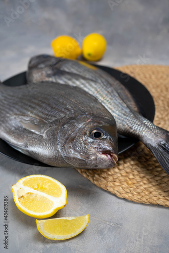 Fresh raw sea Dorada decorated with lemon sliceson grey concrete table. photo