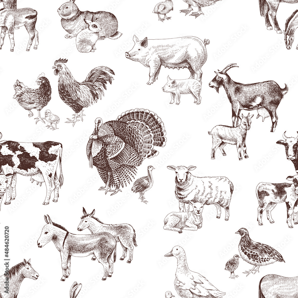 Fototapeta premium Seamless pattern with cute hand drawn farm animals