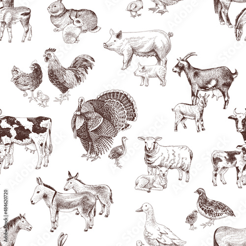 Fototapeta Naklejka Na Ścianę i Meble -  Seamless pattern with cute hand drawn farm animals