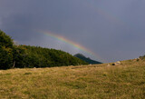 Rainbow on Monte Penna. Val d'Aveto, Liguria, Italy