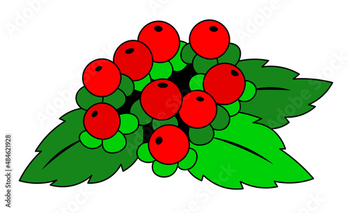 Red berries with green leaves cartoon isolated illustration
