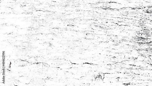 Black and white tree bark texture background