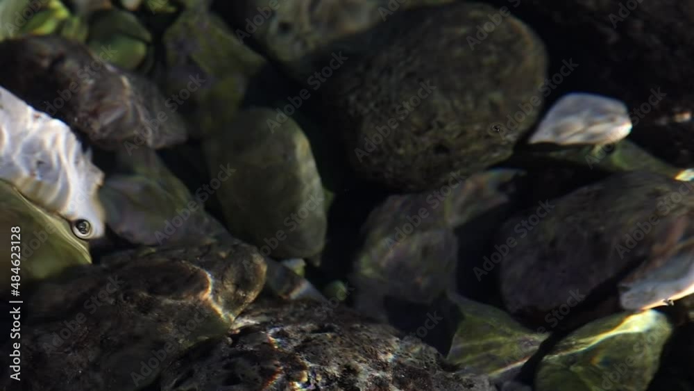 120fps slow motion video. Detail of the crystal clear sea water