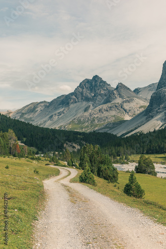 Mountainous landscape in Switzerland with cows and horses
